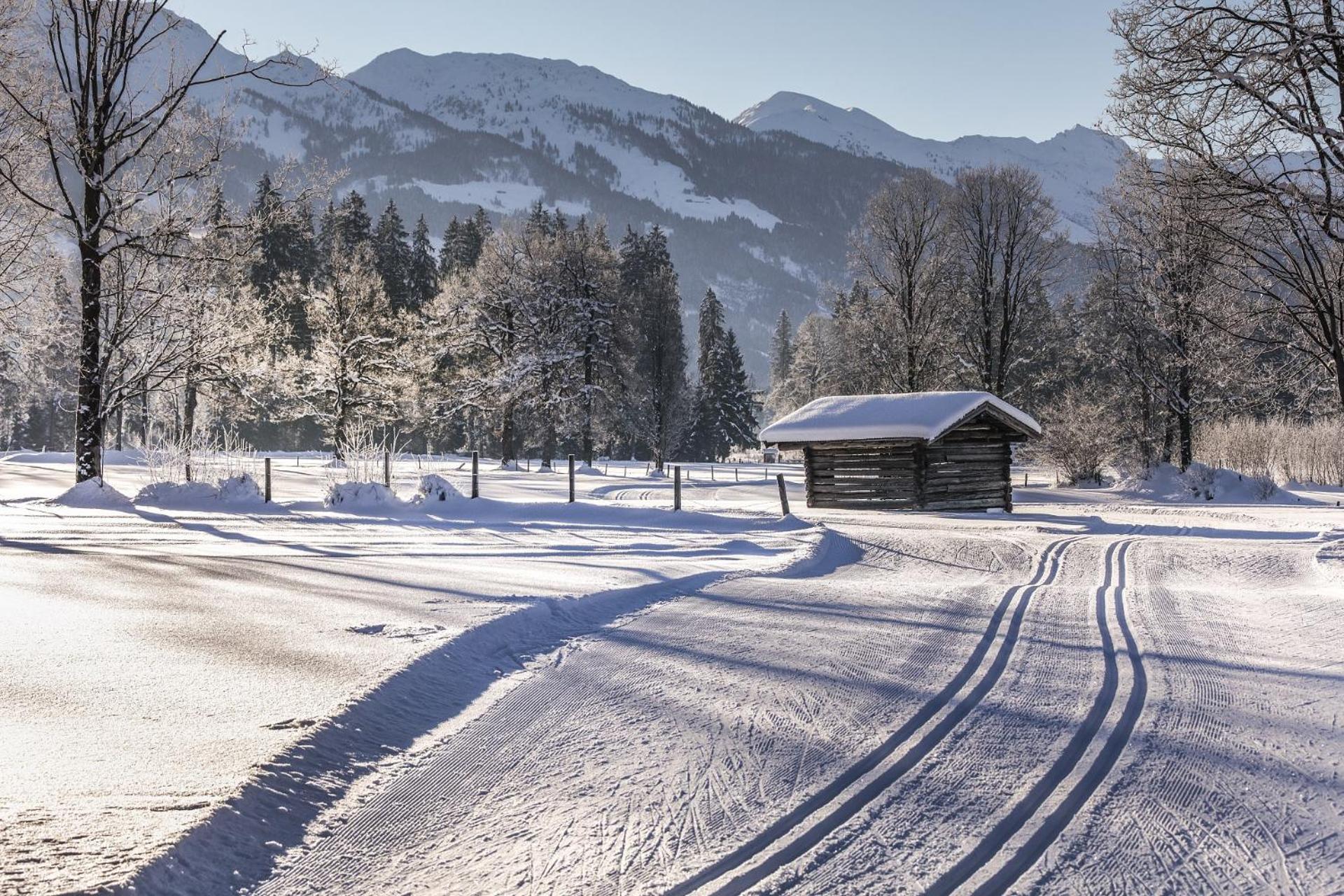 Pension Wolfsegg Kirchberg in Tirol Luaran gambar